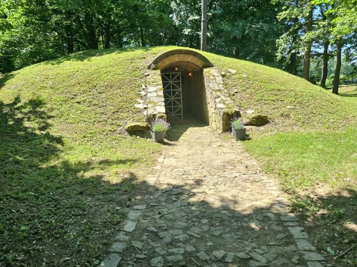 Poletno doživetje v Rimski Gomili